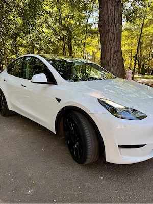 Tesla Model Y Performance  - imagine 4