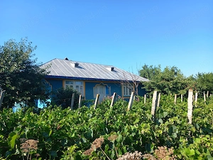 Vând casa în comuna Colceag județul Prahova  - imagine 5