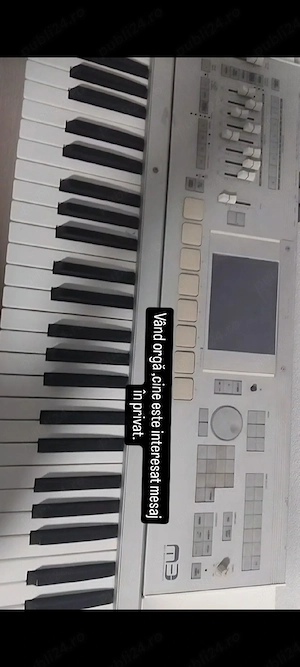 orgă cord m 3