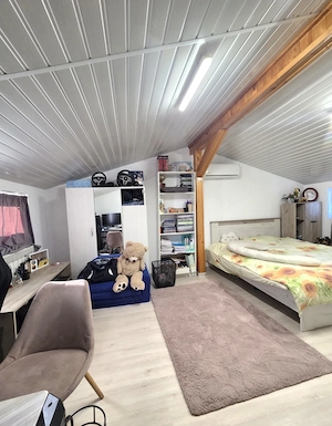 Apartament 4 camere cu mansarda,zona Plantelor Mobilat utilat - imagine 13