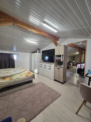 Apartament 4 camere cu mansarda,zona Plantelor Mobilat utilat - imagine 5