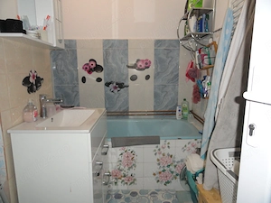 Apartament 2 camere parter inalt Micalaca - Miorita, centrala pe gaz - imagine 11
