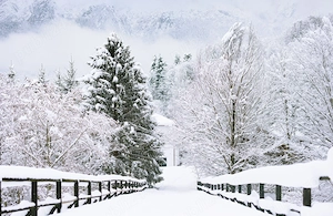 Vila la munte Brasov-Zarnesti, teren 2 hectare, Piatra Craiului, Plaiul Foii, Gym, sauna, jacuzzi - imagine 8