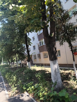 Spre inchiriere apartament 2 camere - imagine 2