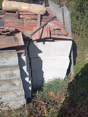 BCA de vânzare sau schimb cu un porc 
