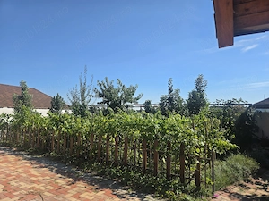 Casa de vacanță zonă liniștită, mutare imediată - imagine 7
