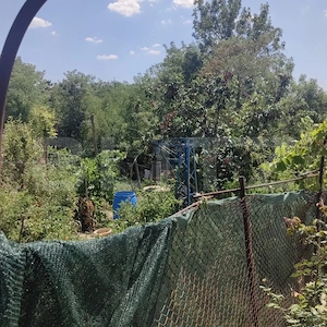 Casa individuala, 32 mp, teren 1.700 mp, comuna Pleșoi - imagine 8