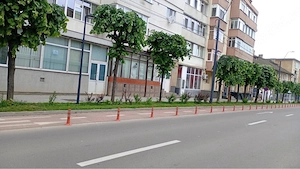 Apartament de închiriat stradal, poziție excelentă - imagine 2