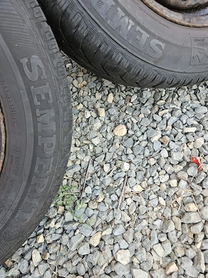 jante cu anvelope iarna 195/65/R15 M+S 5x112 VW Golf VW Sharan VW Caddy VW Passat B5 Skoda Octavia - imagine 4