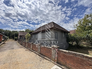 Casa batraneasca cu 3 camere si teren de 841mp, in Racastie, Hunedoara