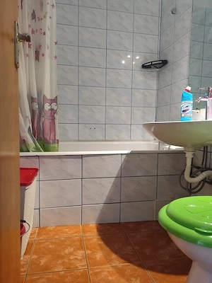 Spre inchiriere apartament 2 camere - imagine 5