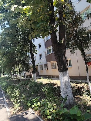 Spre inchiriere apartament 2 camere - imagine 2