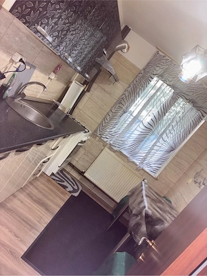 inchiriez apartament 3 camere  - imagine 5