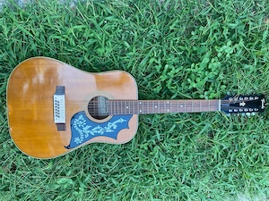 chitara acustica double six Terada FW-952