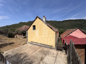 Casa batraneasca, renovata complet, teren 640mp, in Dabaca, Hunedoara - imagine 13