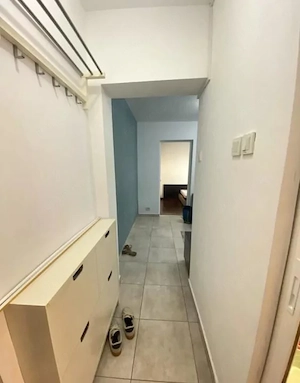 Ap  2 camere  SD Zona Cantemir-Podu Ros - imagine 2