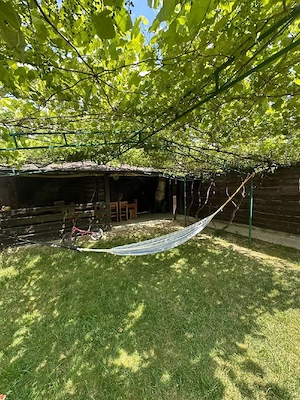 Vand Vila in Cotu Vames,1700 MP teren ,159.000 Euro neg  - imagine 20