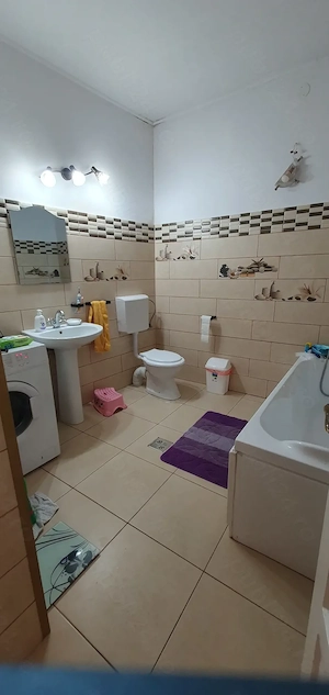 Vind casa formata din 3 apartamente - imagine 3