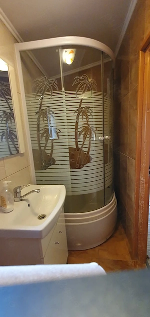 Vind casa formata din 3 apartamente - imagine 10