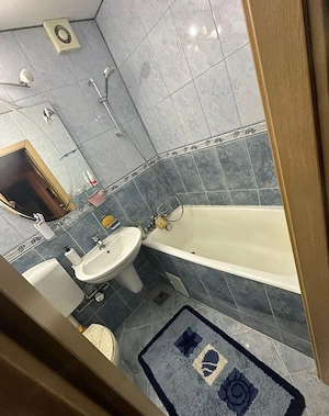 4 camere confort 1, centrală proprie, 2 băi, Titan - imagine 19
