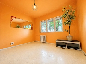 3 camere, 2 băi, parter înalt – zona Aradului, ideal locuință sau birou - imagine 4