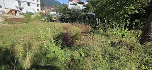 Teren intravilan 288 mp de vanzare in Busteni - imagine 3