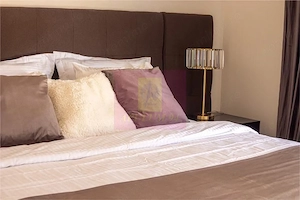 Apartament premium cu 3 camere | Herăstrău | Vedere panoramică spre pa - imagine 12