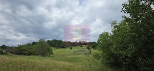 Teren de vanzare in Campina, Muscel - imagine 2