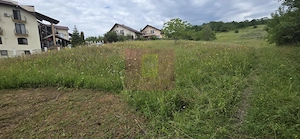 Teren de vanzare in Campina, Muscel - imagine 5