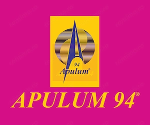 Apartament premium cu 2 camere | Bulevardul Unirii | - imagine 9