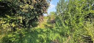 Teren intravilan 1430 mp de vanzare in Brebu - imagine 2
