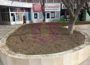 ALEXANDRIA (TR) - SE VINDE SPATIU COMERCIAL LANGA PARCUL CENTRAL - imagine 7