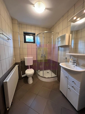 Vila cu 6 camere de vanzare in Brebu - imagine 18