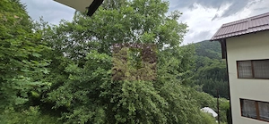 Apartament cu 2 camere de vanzare in Sinaia - imagine 11
