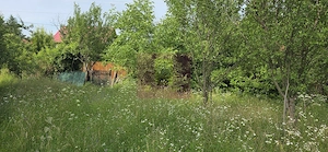 Teren 3026 de vanzare in Brebu - imagine 2