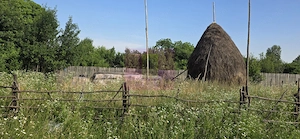 Teren 3026 de vanzare in Brebu - imagine 3