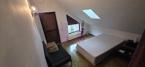 Vila in Sinaia cu parau in curte si view superb - imagine 16