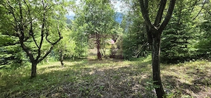 Teren exclusivist pentru dezvoltare imobiliară – Zona Furnica, Sinaia - imagine 2