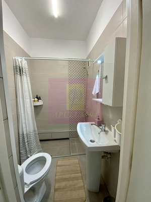 Inchiriere Apartament 2 camere Floreasca-Aviatiei - imagine 10