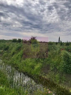 Teren Corbeanca- Drumul Garii Odai. - imagine 2