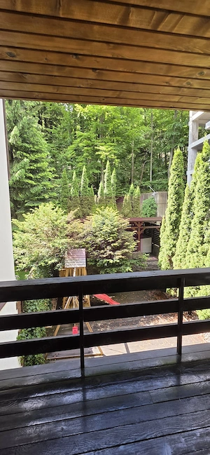 Apartament cu 2 camere de vanzare in Sinaia - imagine 7