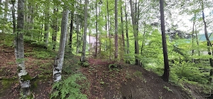 Teren intravilan 720 mp Sinaia - imagine 2