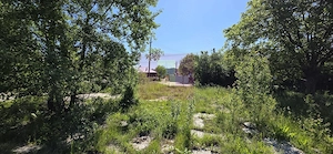 Teren intravila 40.679 mp in Campina, dezvoltare imobiliara - imagine 6