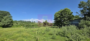 Teren intravila 40.679 mp in Campina, dezvoltare imobiliara - imagine 4