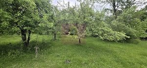 Teren de vanzare in Breaza, Nistoresti - imagine 4