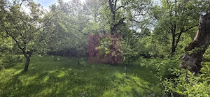 Teren de vanzare in Breaza, Nistoresti - imagine 5