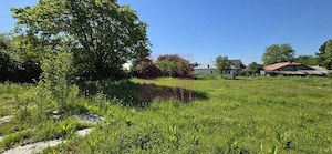 Teren intravila 40.679 mp in Campina, dezvoltare imobiliara - imagine 5