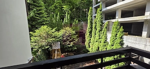 Apartament cu 2 camere de vanzare in Sinaia - imagine 11