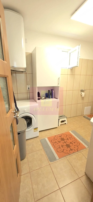 Vila de vanzare in Breaza-Nistoresti cu 7068 mp - imagine 12