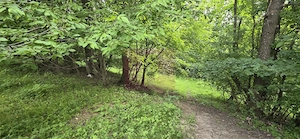 Teren de vanzare in Breaza, Nistoresti - imagine 8